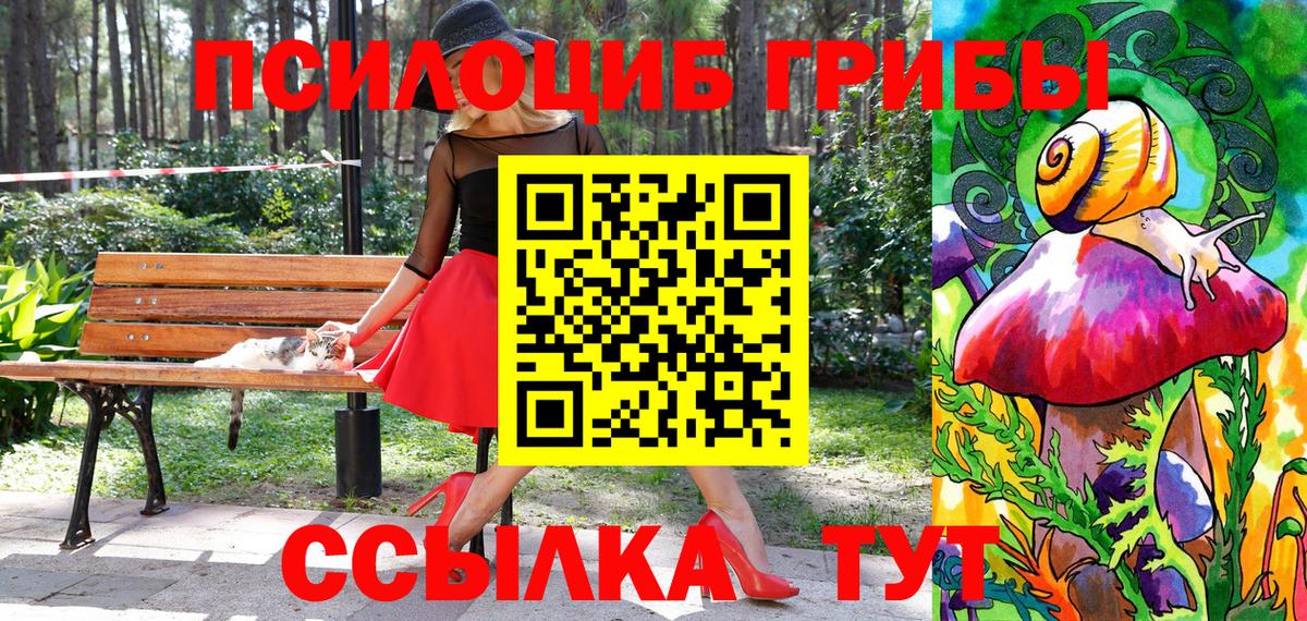 Псилоцибиновые грибы GOLDEN TEACHER Алексеевка