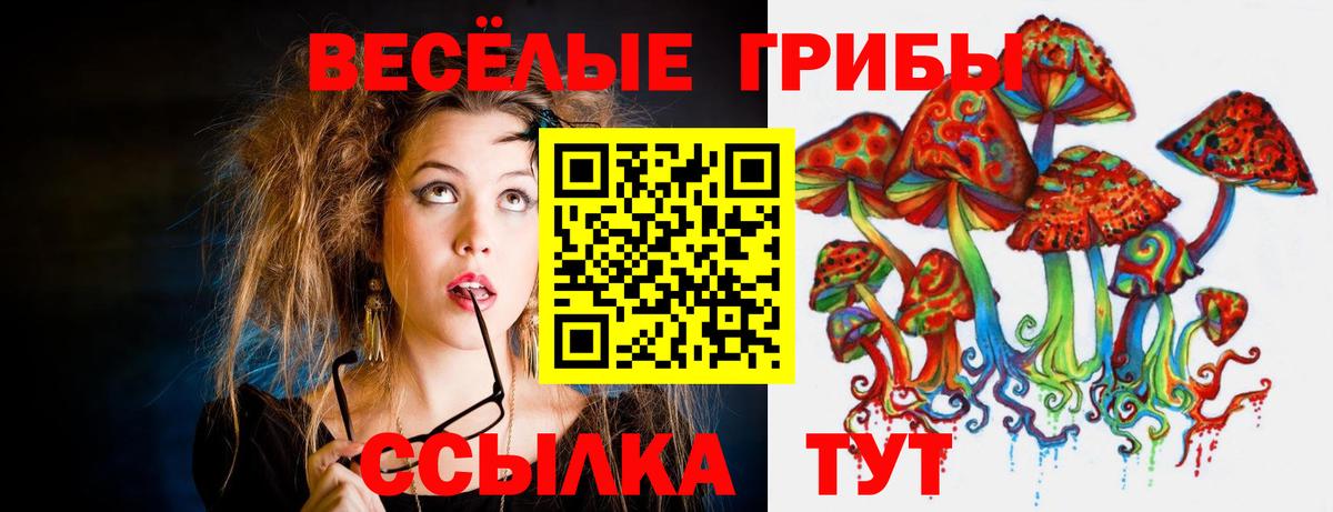 Псилоцибиновые грибы Psilocybine cubensis  наркошоп  Алексеевка  Вход с VPN  Галлюциногенные грибы Magic Shrooms 